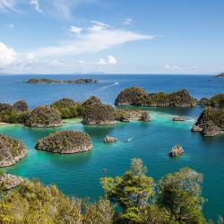 Raja Ampat 10 resorter