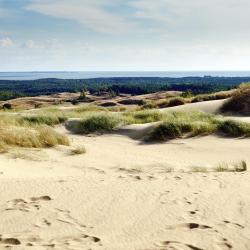 Curonian Spit 350 дешевих готелів