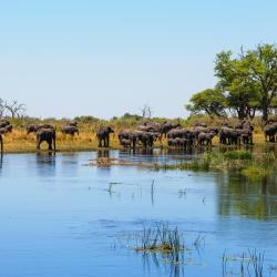 Caprivi Strip 18 lodges