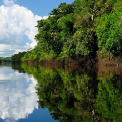 Amazonas 11 lodges