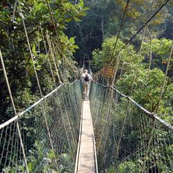 Taman Negara Povoljni hoteli (10)