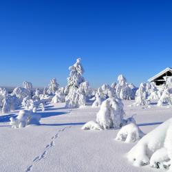 Saariselka Ski Spa hoteli (13)