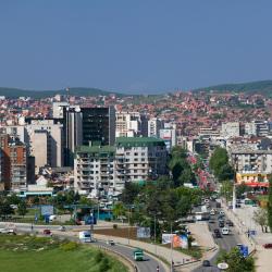 Pristina County 16 albergs