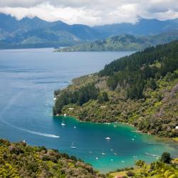 Marlborough Sounds 4 hosteļi