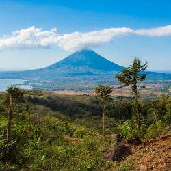 Ometepe 28 of the guest houses