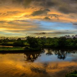 Gampaha 5 Lodges