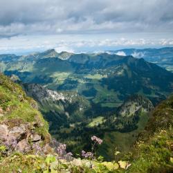 Bregenzerwald 3 auberges