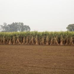 Haryana 10 pensiuni agroturistice