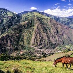 Tungurahua 30 pansiona