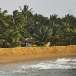 Kalutara 3 Lodges