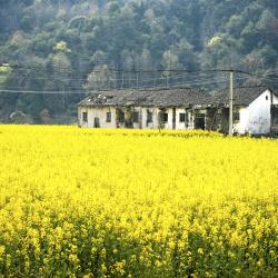 Jiangxi Poilsio kompleksai (3)