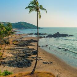 North Goa Vile (542)