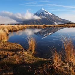 Taranakis Moteliai (31)