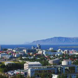 Reykjavik Greater Region Hosteli (11)