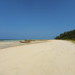 Andaman Islands Vile (5)