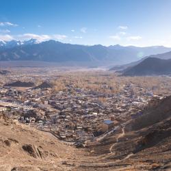 Leh Ladakh 리조트 11개