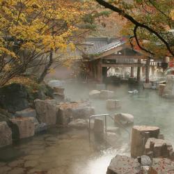 Établissements avec onsen  92 établissements avec onsen dans ce quartier : Yufuin Onsen 