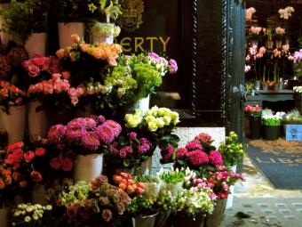 Best International Flower Delivery Service