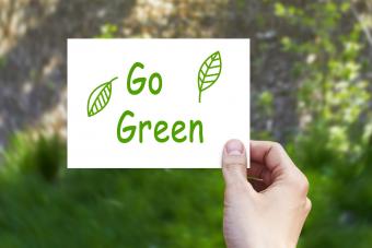 59 Catchy Go Green Slogans to Inspire Environmental Action