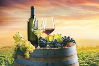 Red vs. White Wines: Key Differences Explored