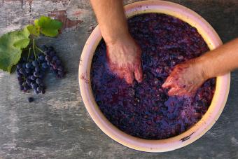 Beginner's Guide to Home Winemaking: A Step-by-Step Process