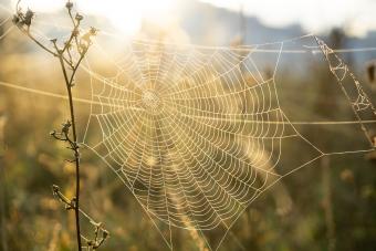 80+ Halloween Words With Spooky Vibes