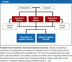 Possible forms of delirium and clinical treatment outcomes