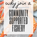 graphic reading "why join a community supported fishery".