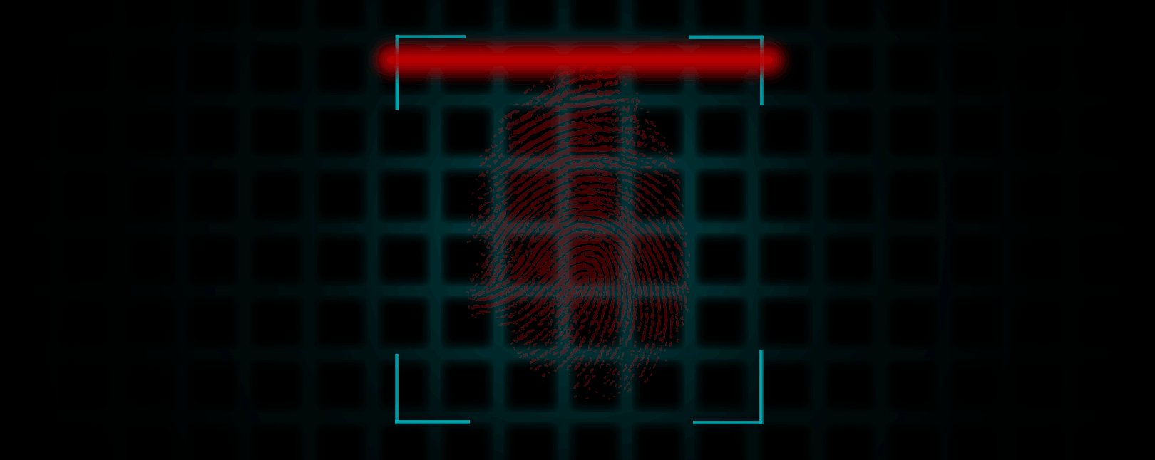 Device Fingerprinting