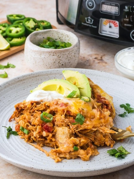 Chicken Enchilada Casserole on a plate with a Crock Pot in the background.