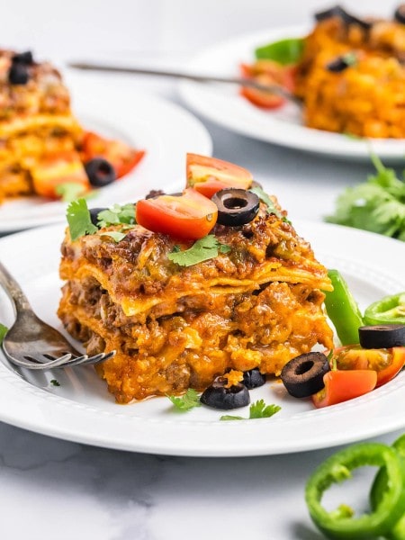 Beef Enchilada served on a white plate.