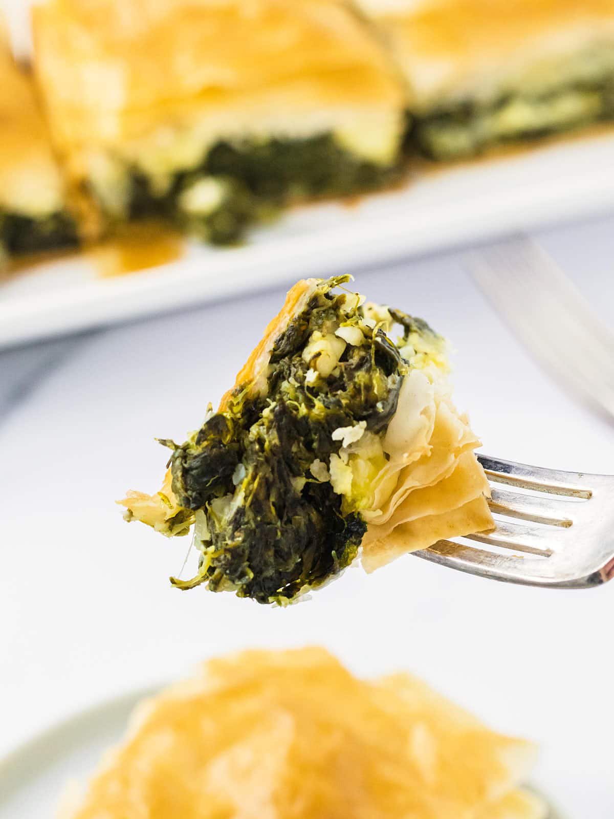 Closeup of a forkful of Spanakopita. 