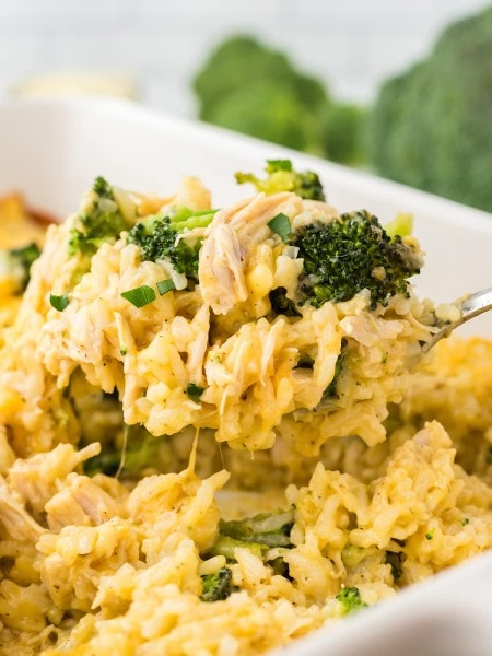 Lifting a portion of Chicken Broccoli Rice Casserole out of the casserole dish.