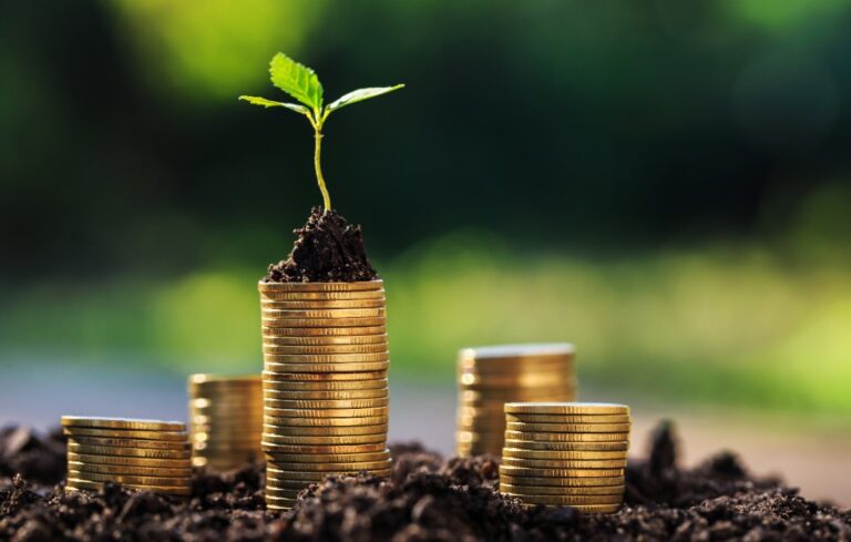 Coins and small trees on the ground outdoor nature blurred background