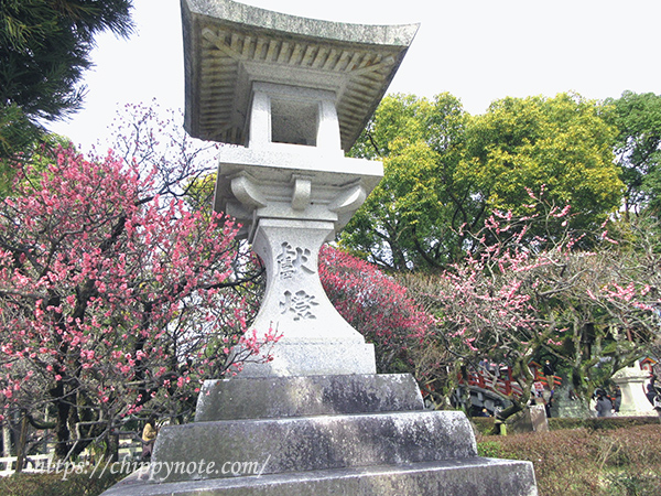 太宰府天満宮・梅の季節