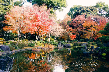 〈城南宮〉参拝・今年最後の遅い紅葉を楽しむひととき-アイキャッチ