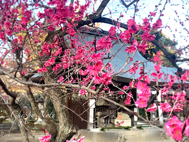 東側の手水舎