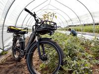 Close up image of a RadRover 6 Plus Step-Thru in charcoal in a green house.  This image shows the RadRover 6 Plus' ability to ride in trail and off-road environments. 