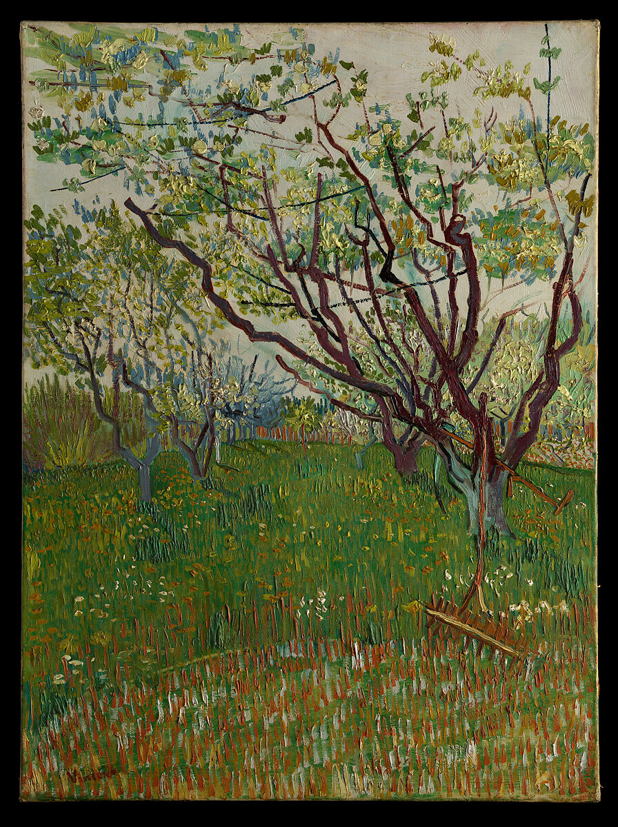 The Flowering Orchard