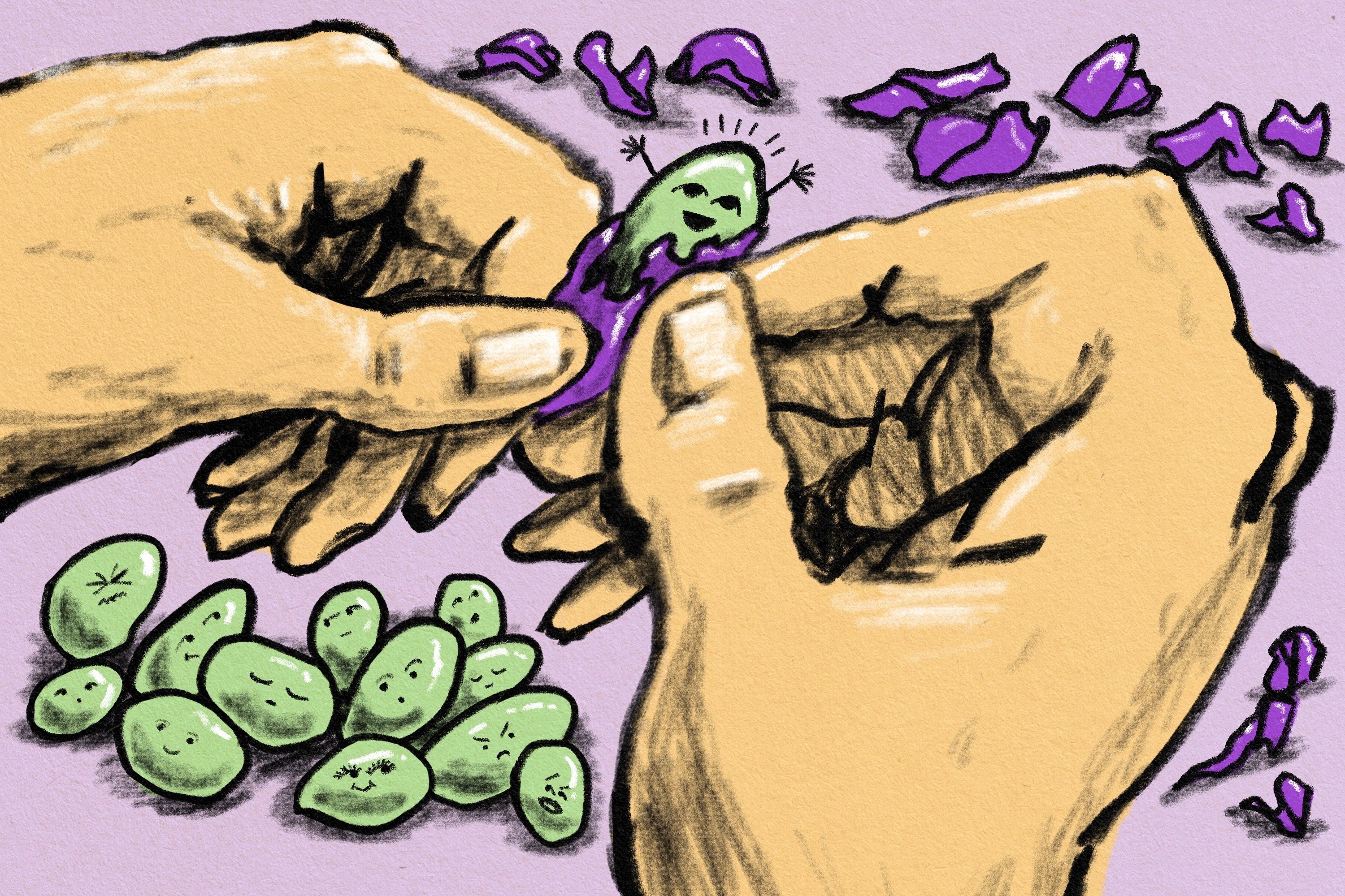 Hands peel a purple shell to reveal a green grape inside. 