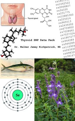 Cover image for Thyroid SNP Data Pack