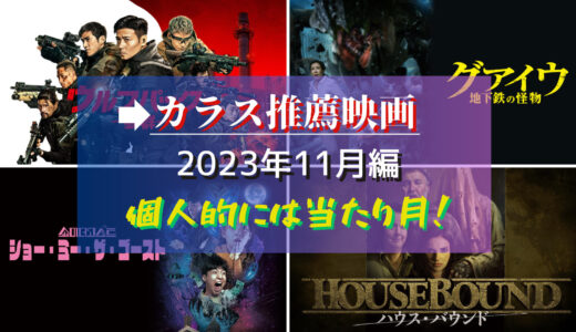 カラスが視聴した映画から選ぶ、お気に入り映画2023年11月編