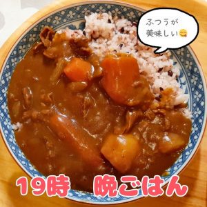 普通のカレーライス