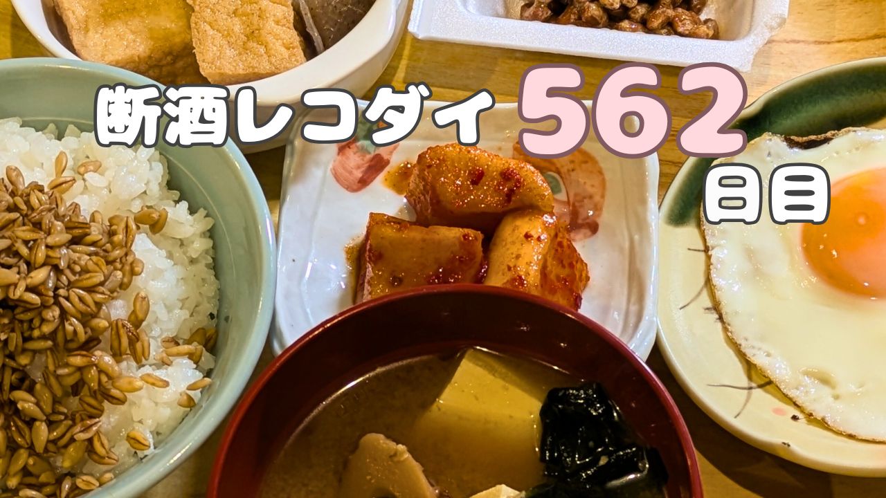 断酒562日目！夜ごはんは満点ダイエット飯でも体重増加…？