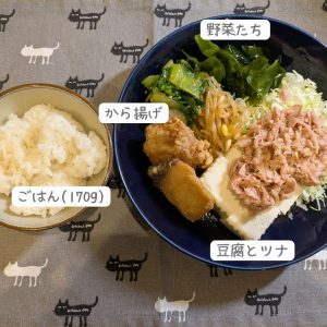 いつも通りのダイエット飯は豆腐とツナがメイン！