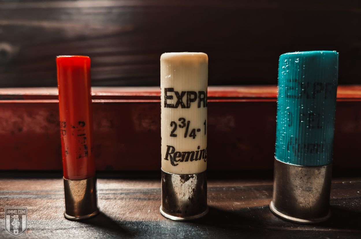 Common shotgun gauges/calibers. Left to right: .410, 20 Gauge, and 12 Gauge.