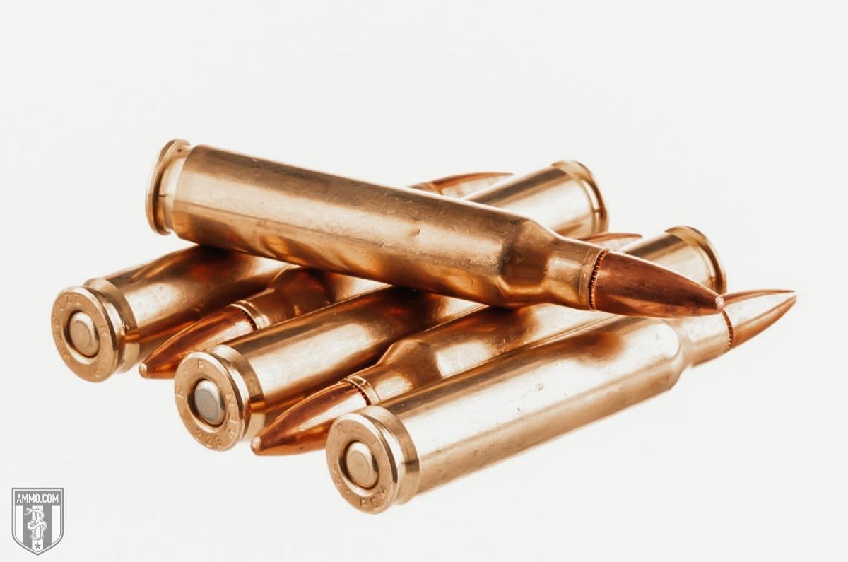 shop 223 ammo