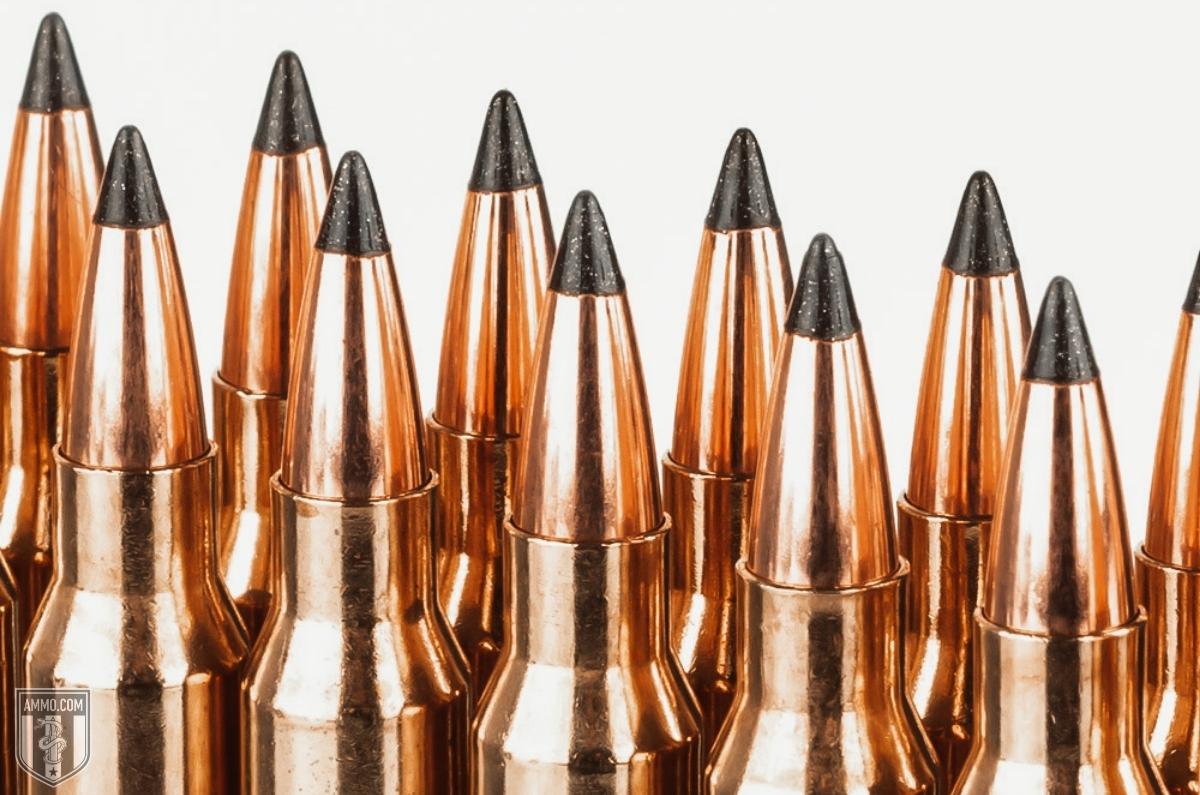 shop 223 ammo