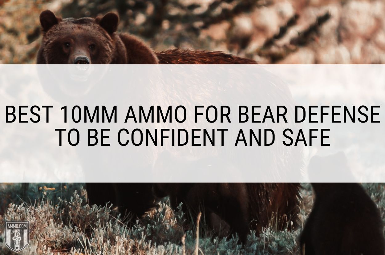 Best 10mm Ammo for Bear Defense To Be Confident and Safe