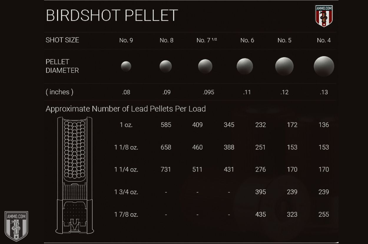 Size of Shot